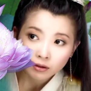 朱七七