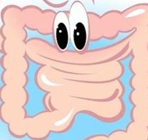 描写肠的诗词