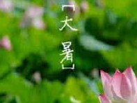 描写大暑的诗词