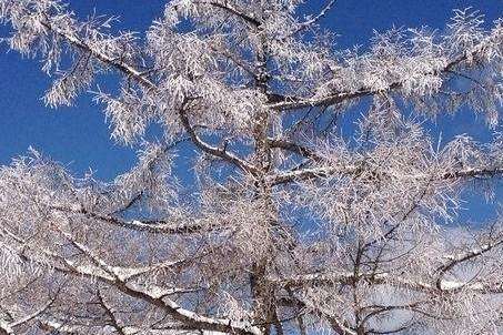 描写雪的诗词